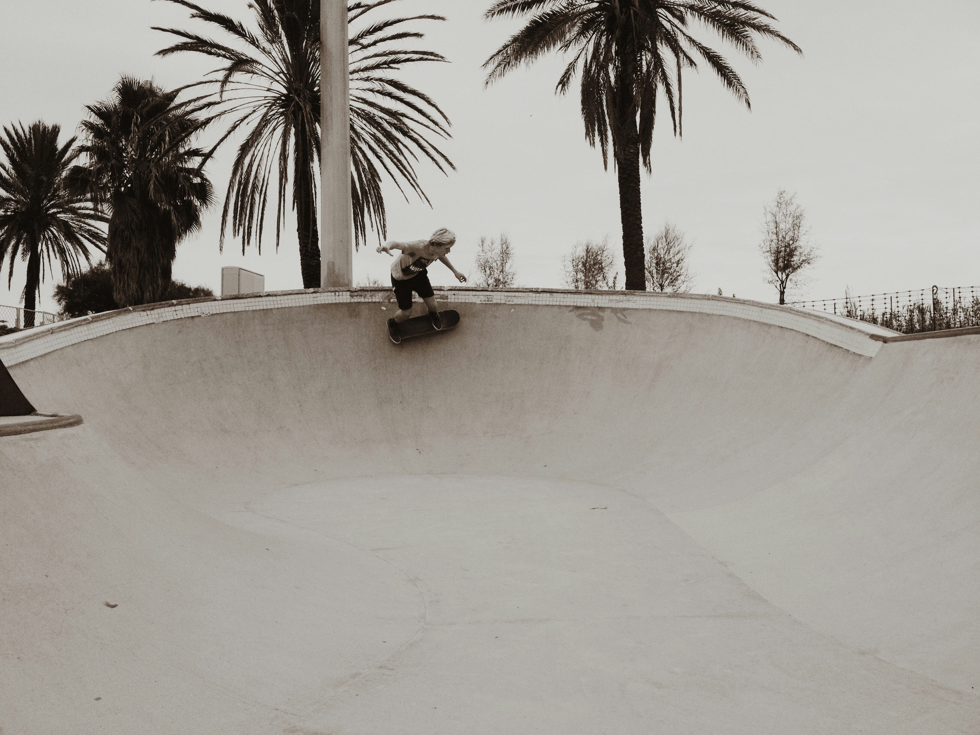 person skating on curved wall